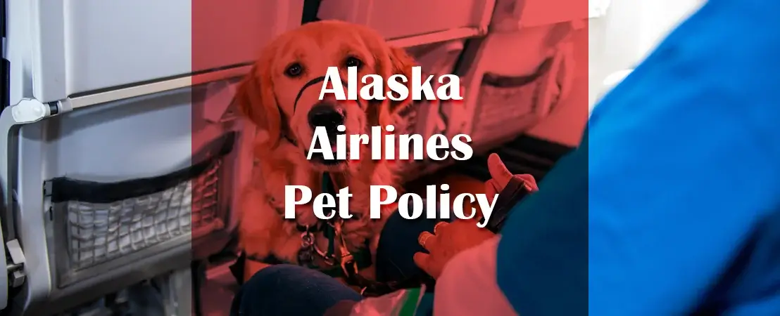 Alaska Airlines pet policy