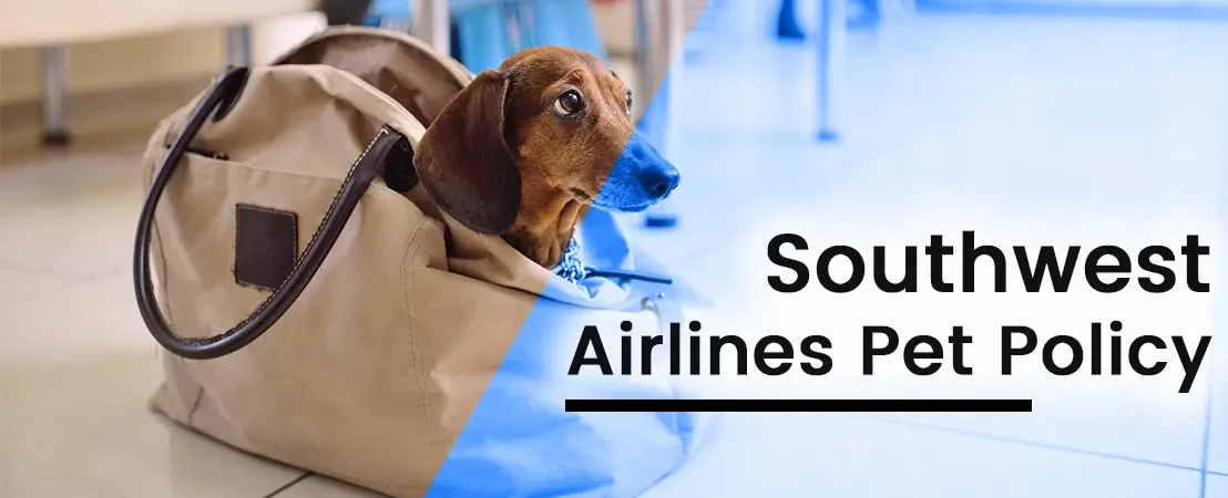 Southwest Airlines Pet Travel Policy